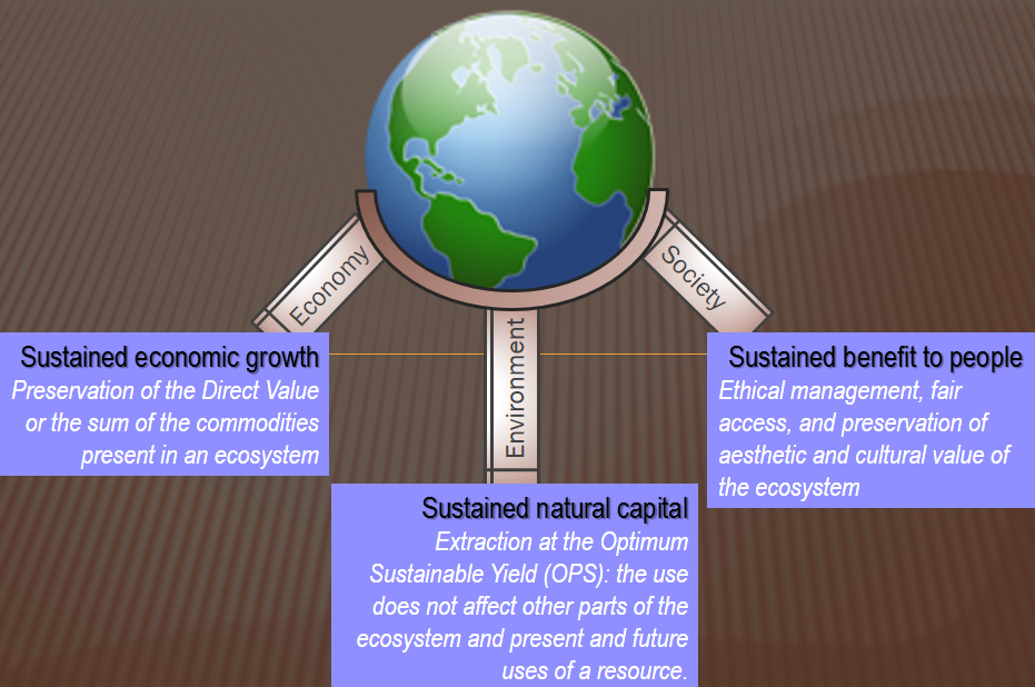 12 Relationships Among The Sustainability Triad Eme 504 Foundations In Sustainability Systems 